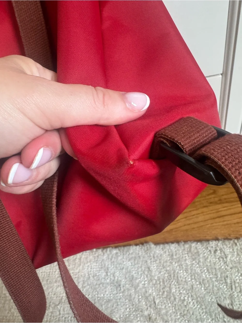 Longchamp Backpack with Brown Leather Flap - Classic Women's Bag